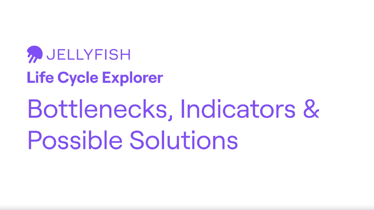 What Is A Life Cycle Explorer? Analyzing Software Development ...