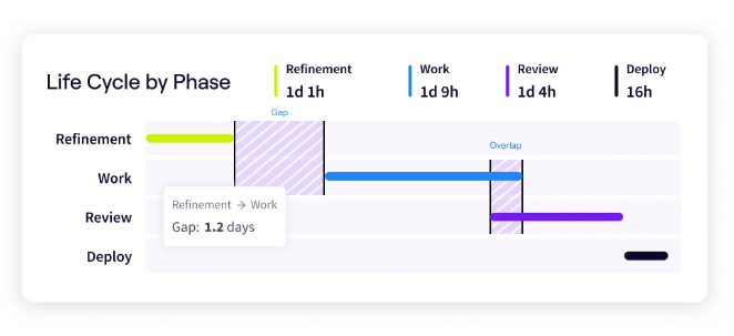 Jellyfish Life Cycle Explorer