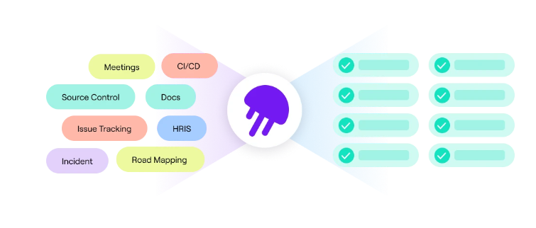 Jellyfish Resource Allocations