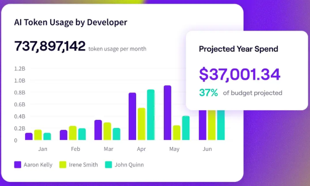 AI Token Usage by Developer