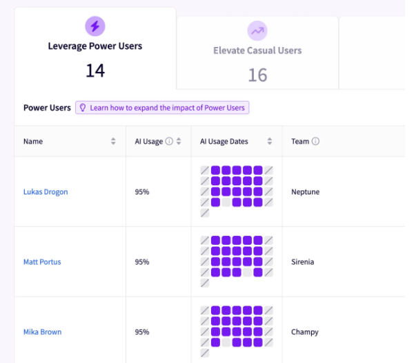 Jellyfish adoption view listing power users with their AI usage percentage, usage-date heatmap, and team, alongside counts of power users and casual users